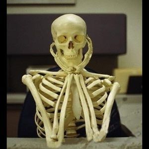 Meet your Posher, Jerold